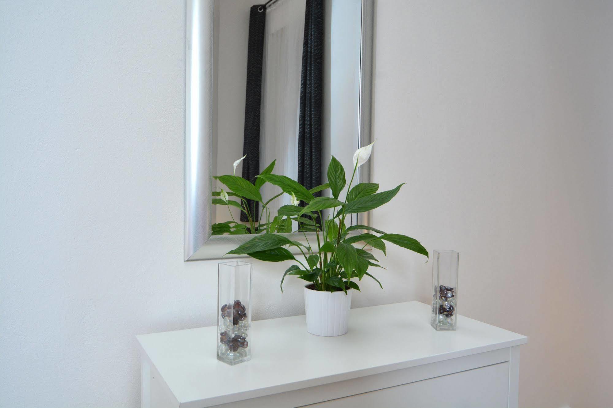 Apartament Amadeus Praga